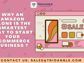 why-an-amazon-clone-is-the-smartest-way-to-start-your-ecommerce-business